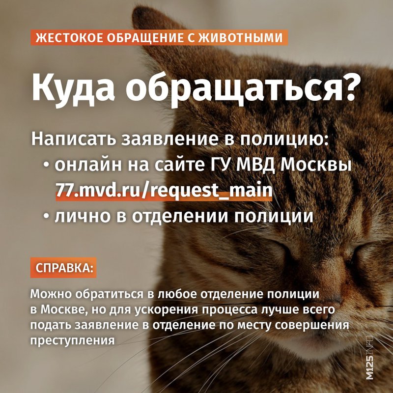  Ответить