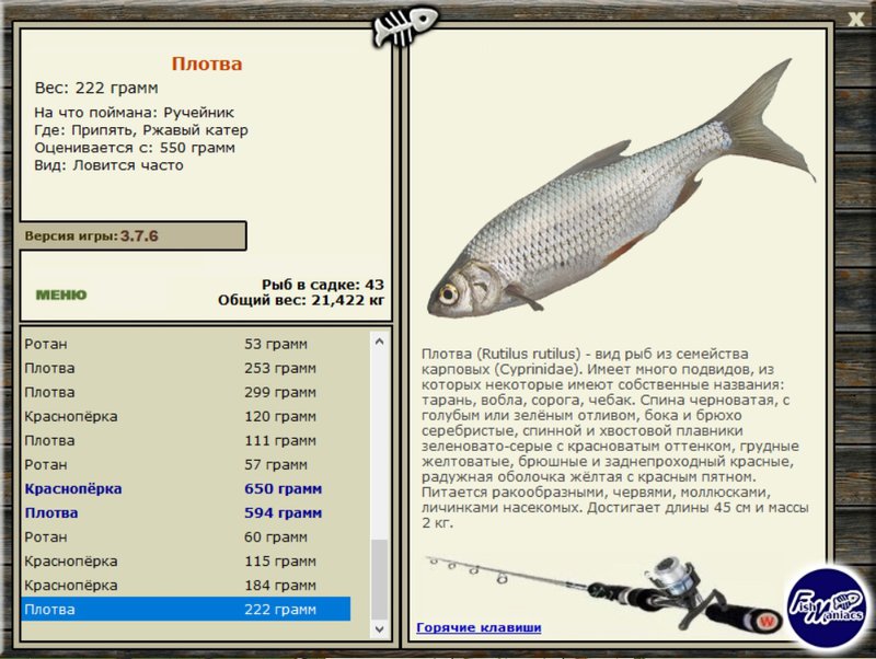 РУССКАЯ РЫБАЛКА Installsoft Edition 