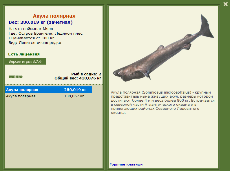 Ледяной плёс 