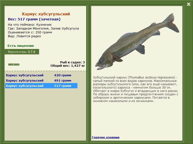 Залив Хубсугула 
