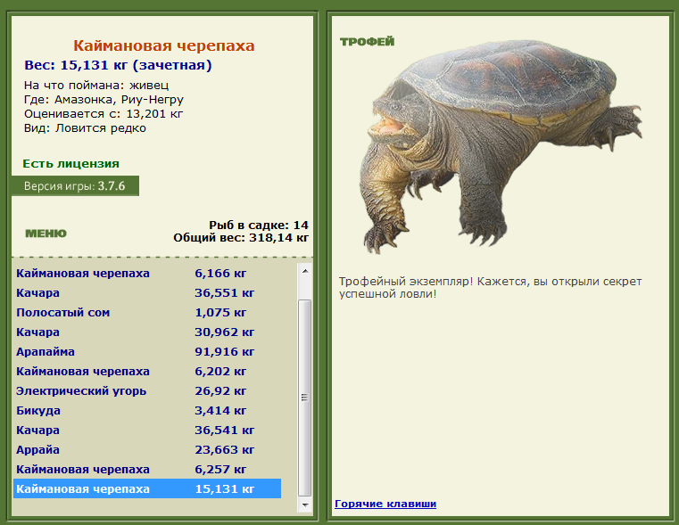 турниры • РУССКАЯ РЫБАЛКА