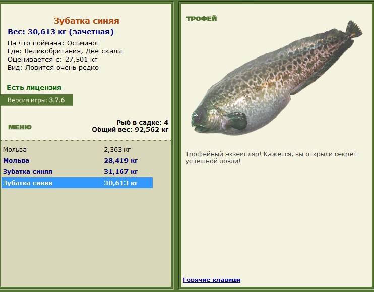 Зубатка синяя 