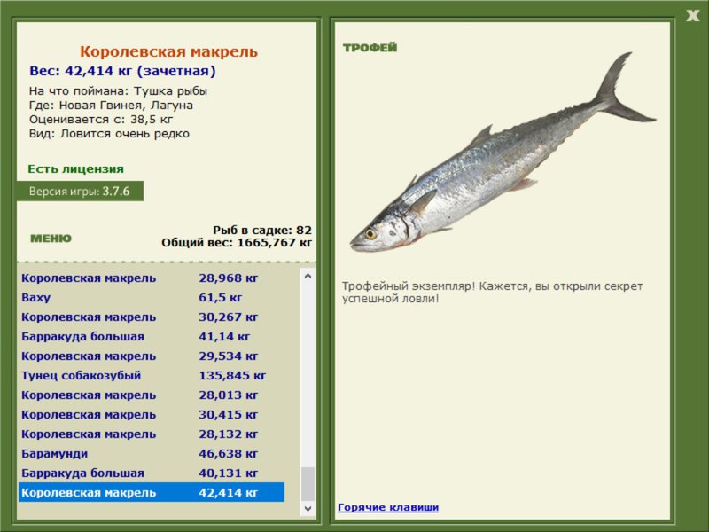 Kоролевская макрель 