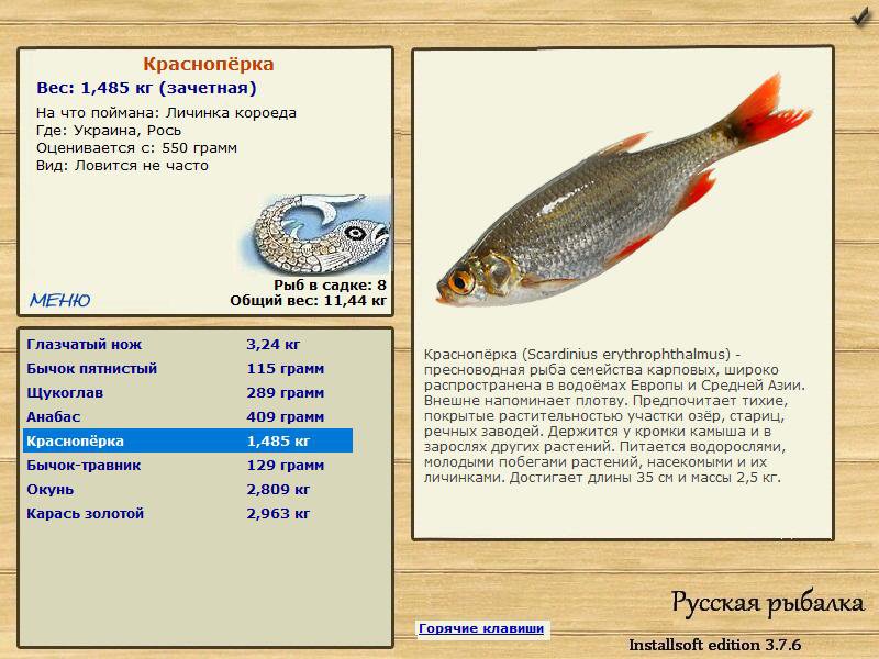 Рось 