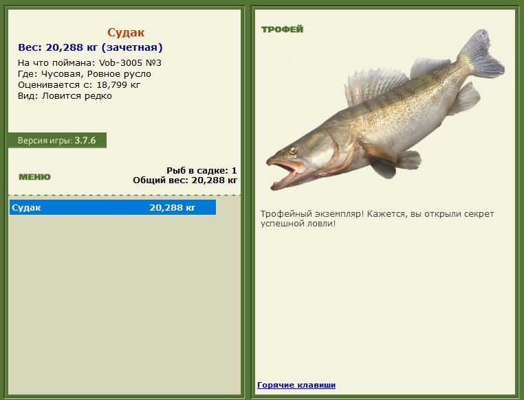 турниры • РУССКАЯ РЫБАЛКА