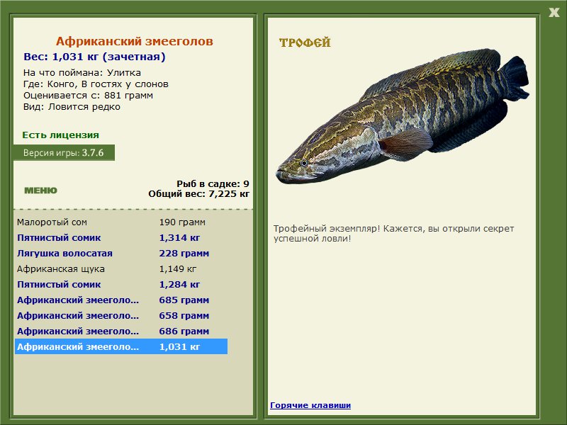 Африканский змееголов 