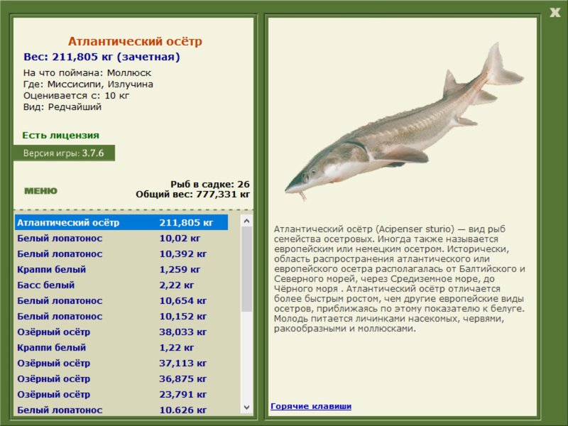 Излучина 