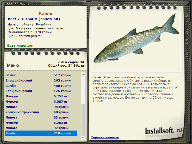 турниры • РУССКАЯ РЫБАЛКА