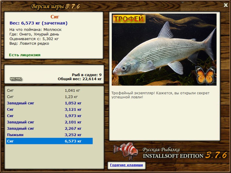 Хмурый день 