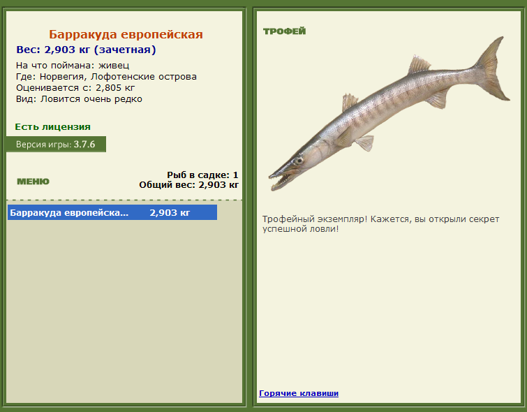 турниры • РУССКАЯ РЫБАЛКА