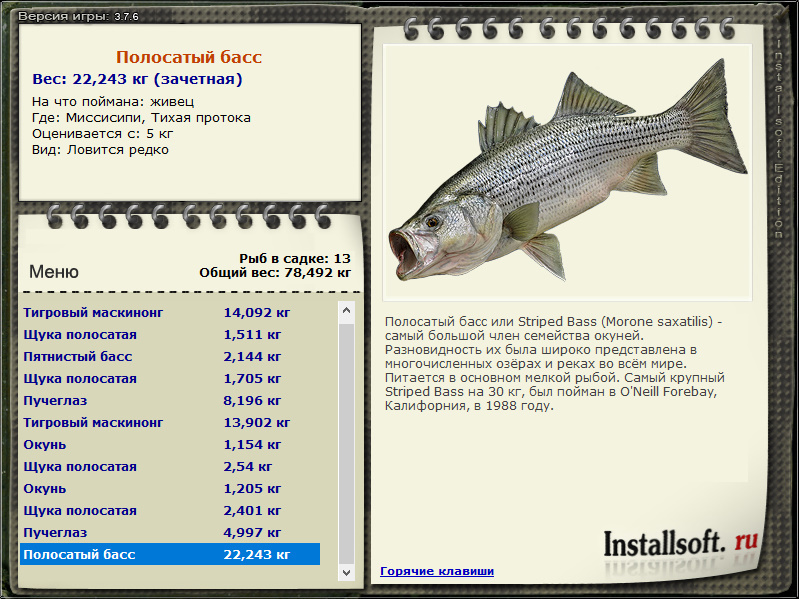 турниры • РУССКАЯ РЫБАЛКА