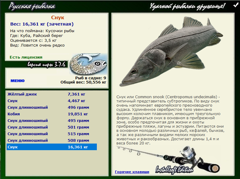 турниры • РУССКАЯ РЫБАЛКА