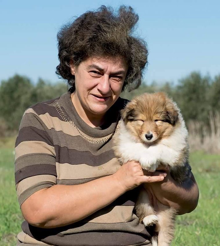 ФОРУМ ЛЮБИТЕЛЕЙ КОЛЛИ И ШЕЛТИ 
