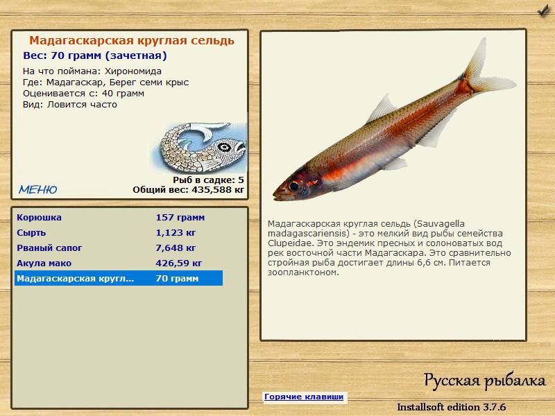 Берег семи крыс 