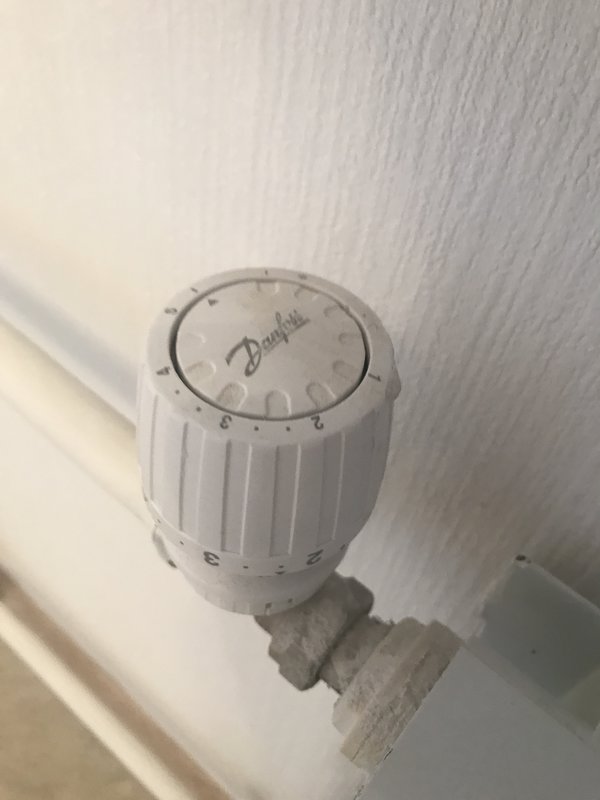  Ответить