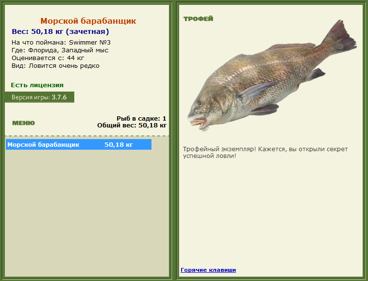 Морской барабанщик 