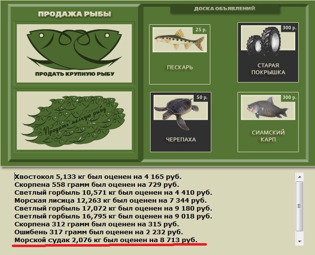 Морской судак 
