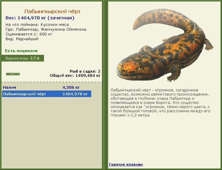 Жемчужина Оймякона 