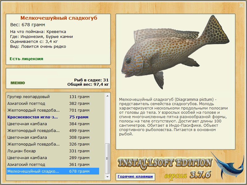 турниры • РУССКАЯ РЫБАЛКА