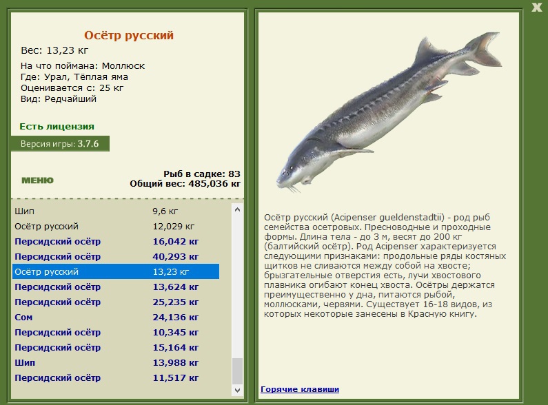 Кругловская яма 