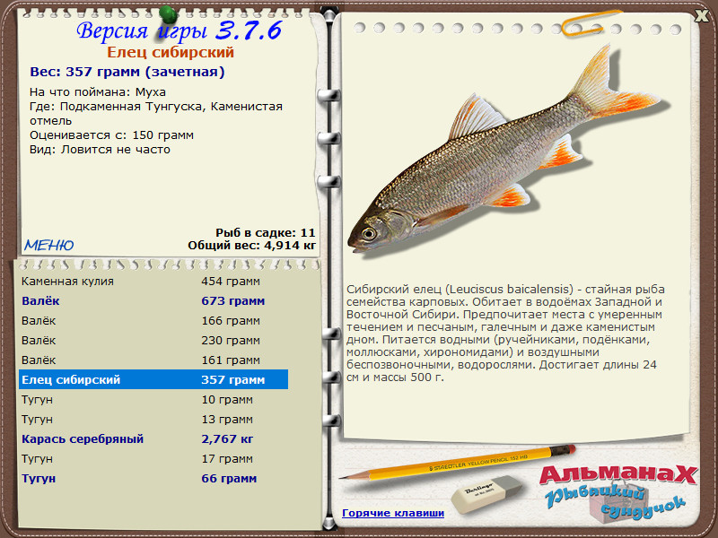 Подкаменная Тунгуска 
