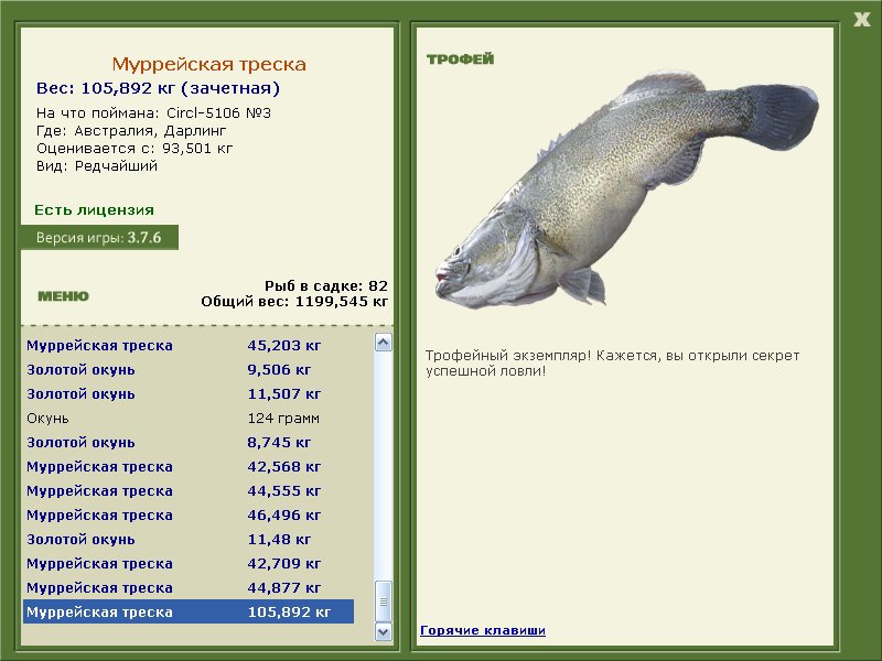 Муррейская треска 