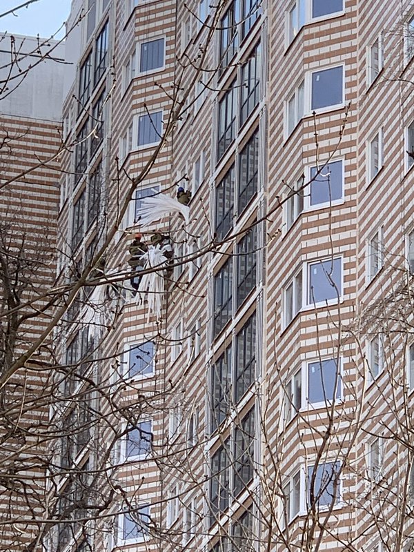  Страница 557 - Снос пятиэтажек