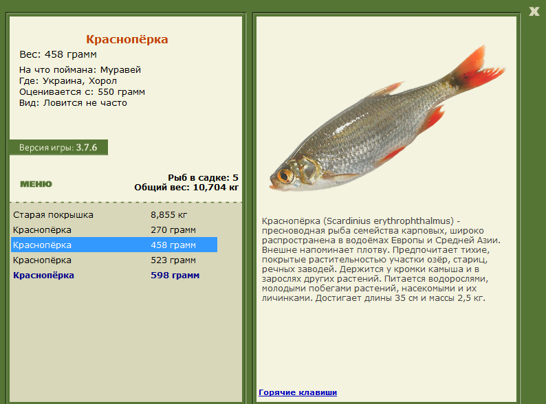 Хорол 