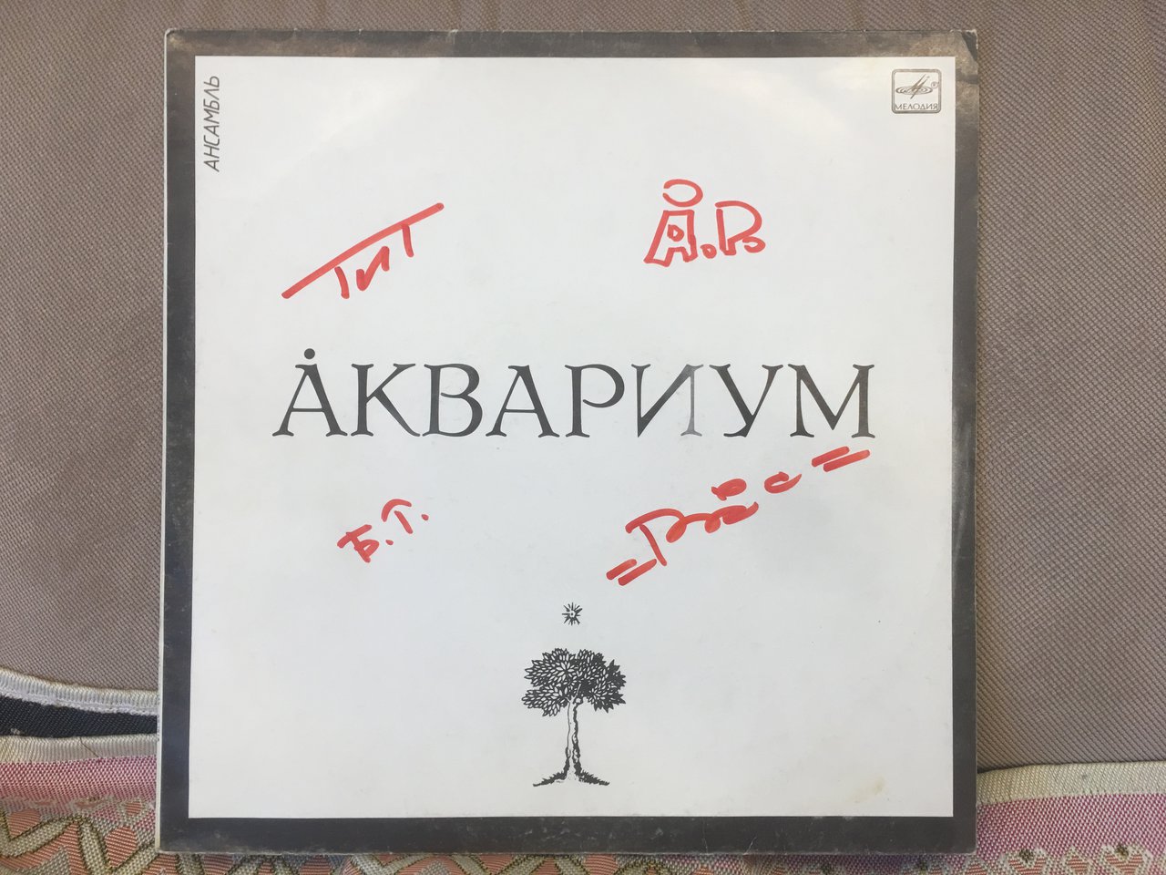  Редкий отечественный винил.