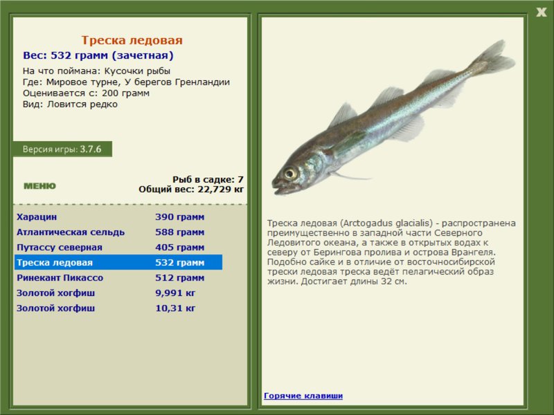 Мировое турне 