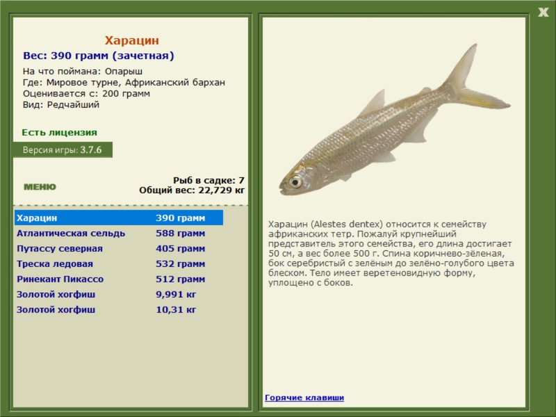 Мировое турне 