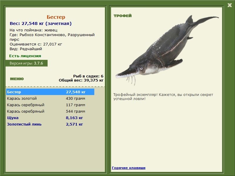 Бестер 