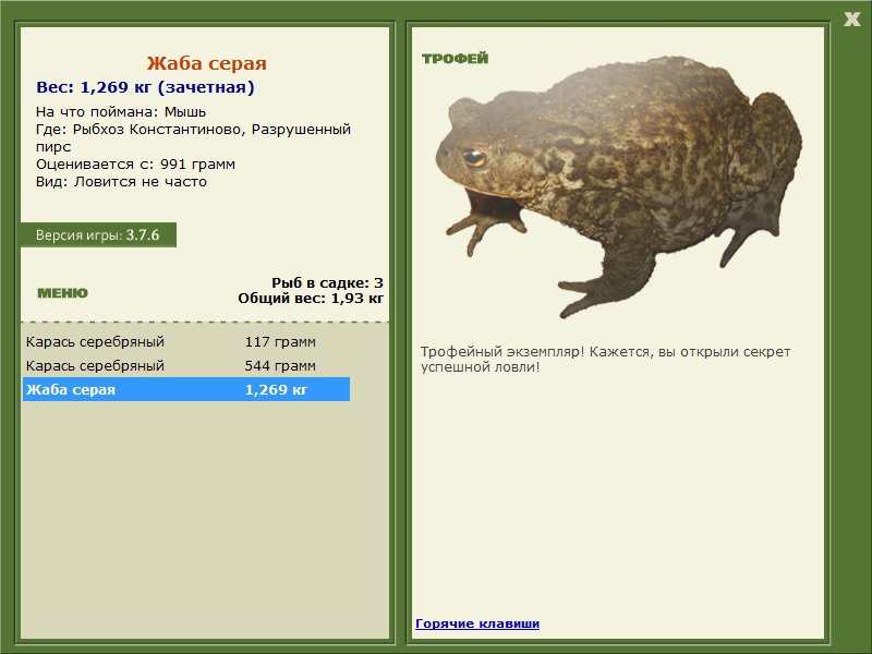 Жаба серая 