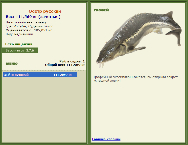 турниры • РУССКАЯ РЫБАЛКА