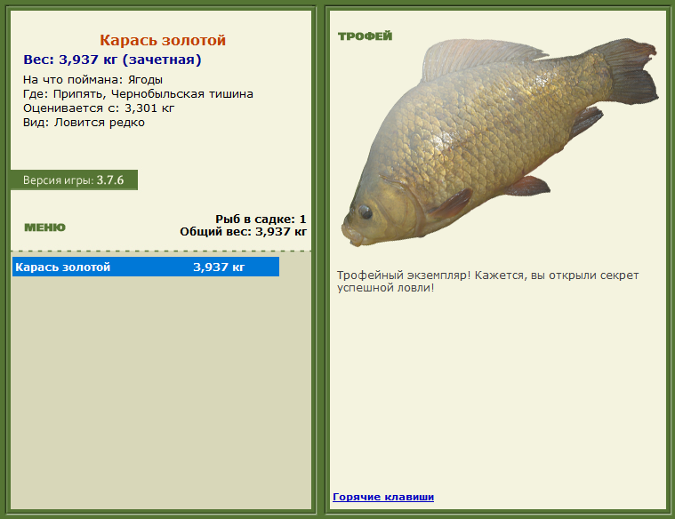 турниры • РУССКАЯ РЫБАЛКА