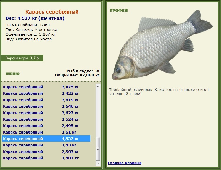 Карась серебряный 