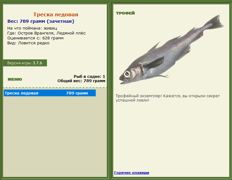 турниры • РУССКАЯ РЫБАЛКА