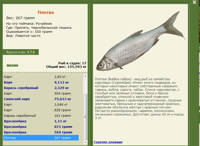 Чернобыльская тишина 