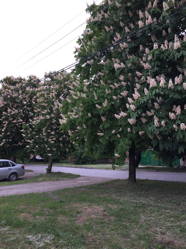 Главная (продолжение).