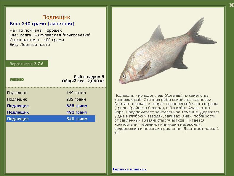 РУССКАЯ РЫБАЛКА Installsoft Edition 