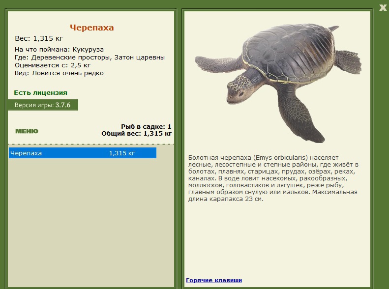 Затон царевны 