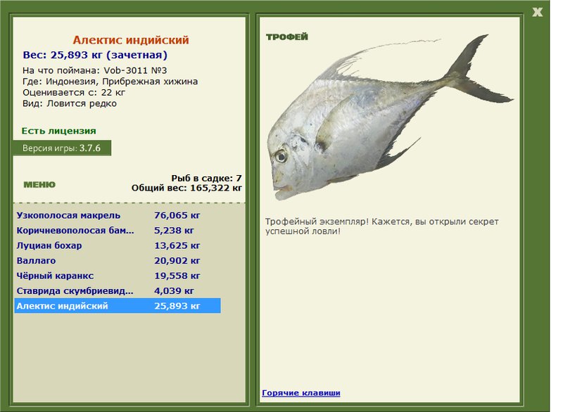 Алектис индийский 