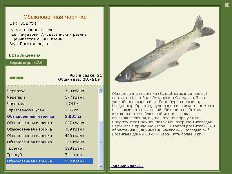 РУССКАЯ РЫБАЛКА Installsoft Edition 