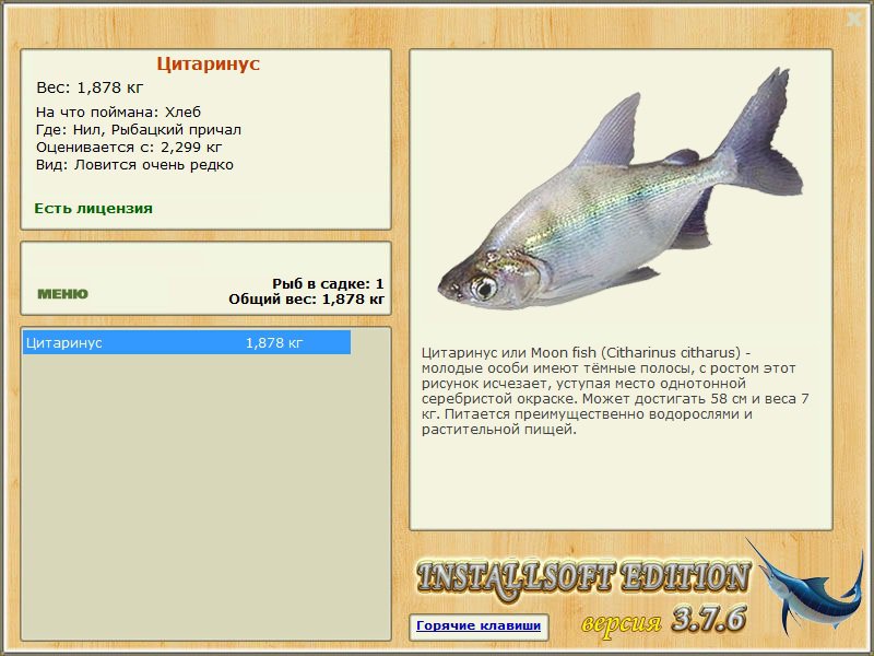 турниры • РУССКАЯ РЫБАЛКА