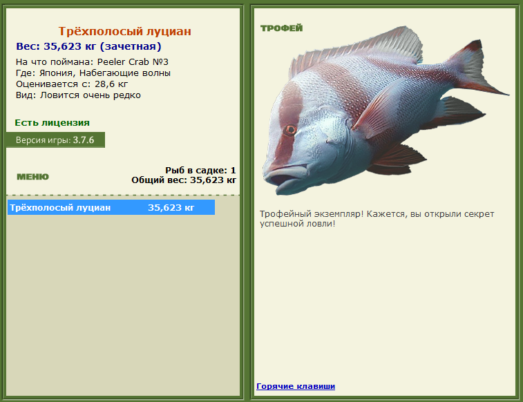 турниры • РУССКАЯ РЫБАЛКА