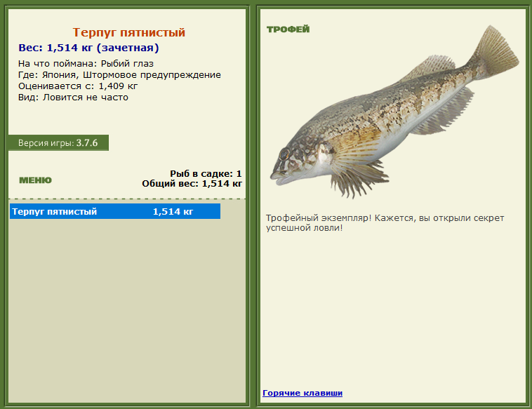 турниры • РУССКАЯ РЫБАЛКА