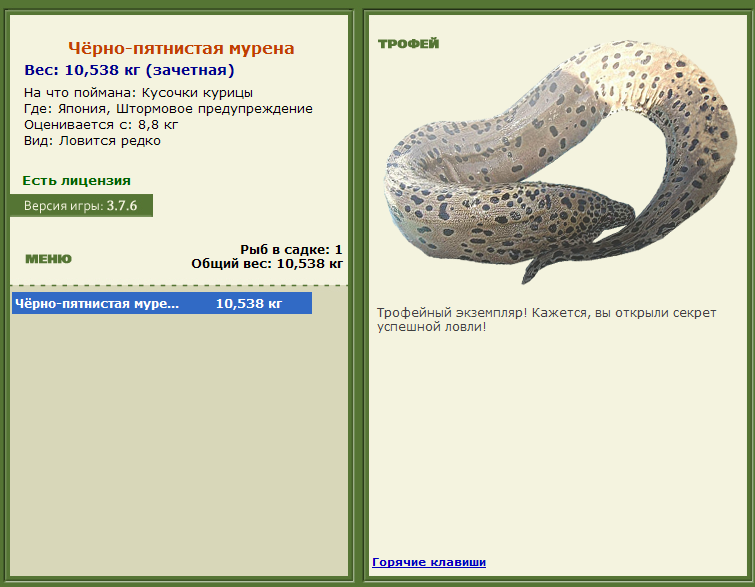 турниры • РУССКАЯ РЫБАЛКА