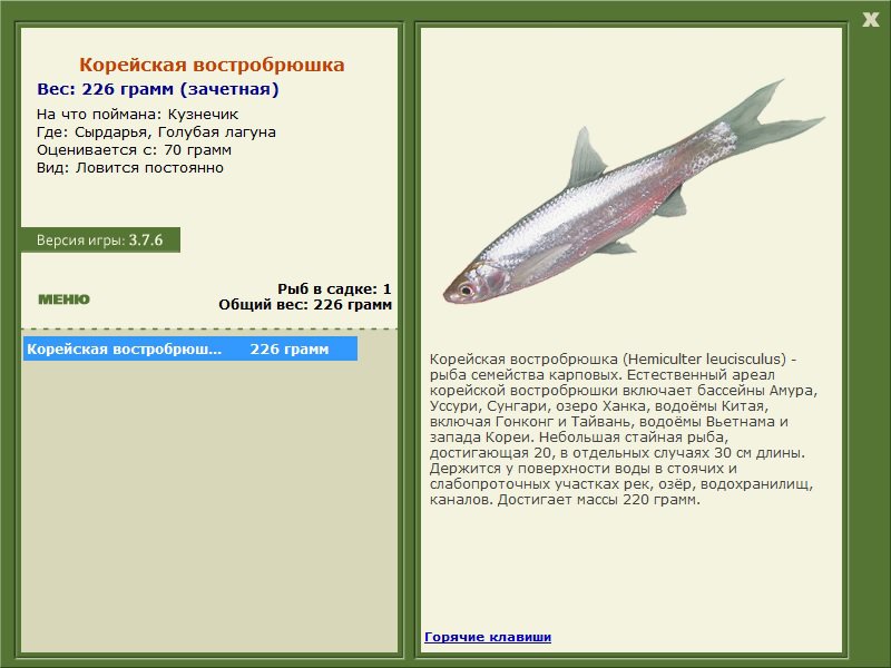 Голубая лагуна 