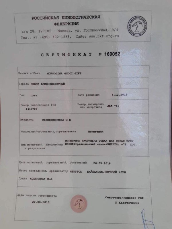 Изображение