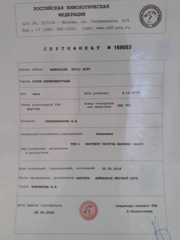 Изображение